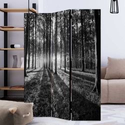 Waldmotiv Paravent in Grautönen Leinwand Füllung günstig online kaufen