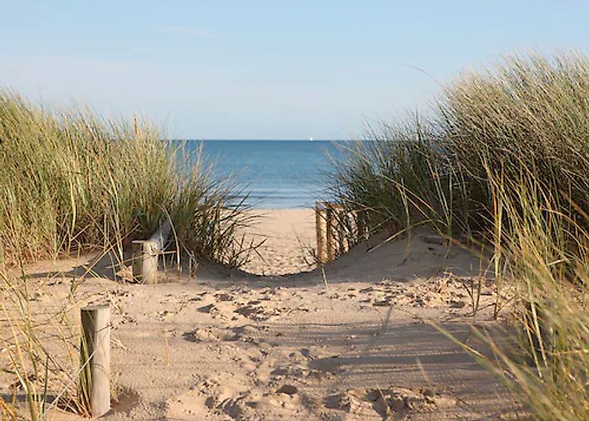 Papermoon Fototapete »Dunes in Dorset« glatt günstig online kaufen