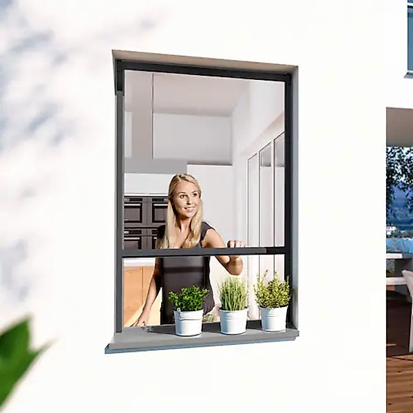 Windhager Insektenschutzrollo »PLUS«, transparent, BxH: 100x160 cm günstig online kaufen