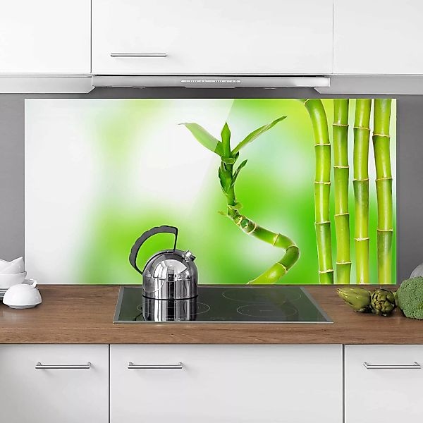 Glas Spritzschutz Blumen - Querformat 2:1 Grüner Bambus günstig online kaufen
