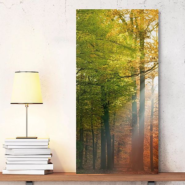 Leinwandbild Wald - Hochformat Morning Light günstig online kaufen