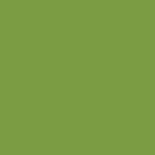Künstliche Zimmerpflanze Croton Grünpflanze, Creativ green, günstig online kaufen