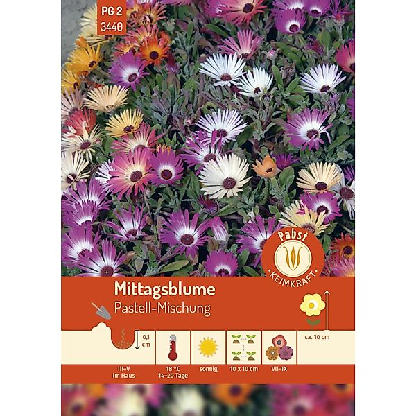Pabst Keimkraft Mittagsblume Pastell-Mischung Saatgut günstig online kaufen