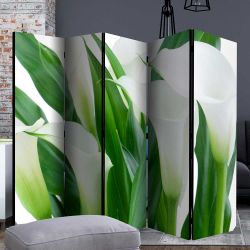 Fotoprint Paravent in Weiß und Grün Callablüten Motiv günstig online kaufen