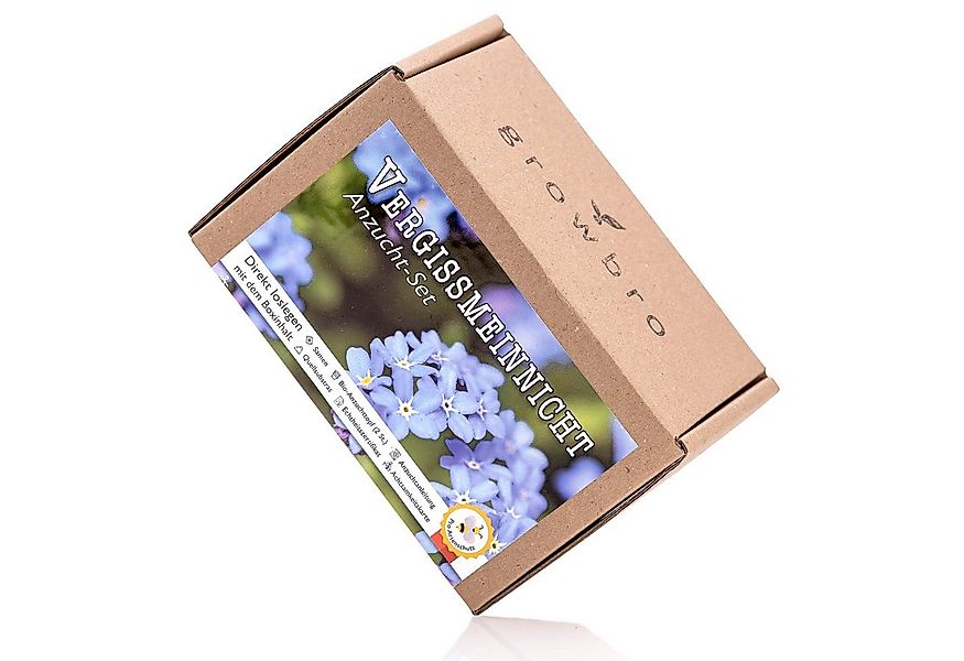 Kunstblume VergissMeinNicht Anzuchtset, ZÜCHTE Dein EIGENES LIEBESSYMBOL, g günstig online kaufen