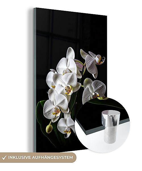 MuchoWow Acrylglasbild Orchidee - Blumen - günstig online kaufen