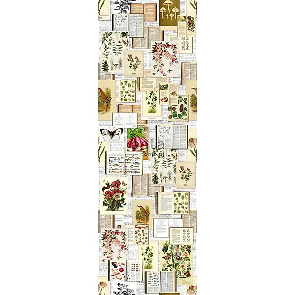 ESTAhome Fototapete Botanische Motive Beige Grün und Rosa 100 x 279 cm 1585 günstig online kaufen