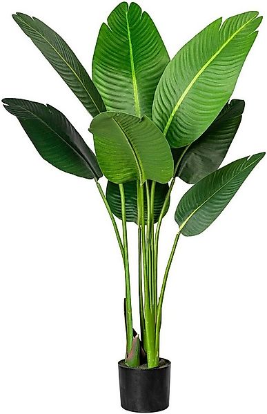 Künstliche Zimmerpflanze Strelitzia Strelitzia, Creativ green, Höhe 120 cm günstig online kaufen