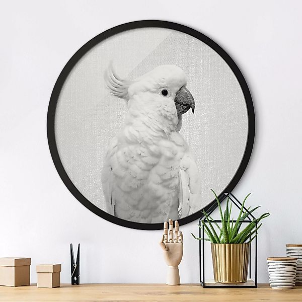 Rundes Gerahmtes Bild Kakadu Kiki Schwarz Weiß günstig online kaufen
