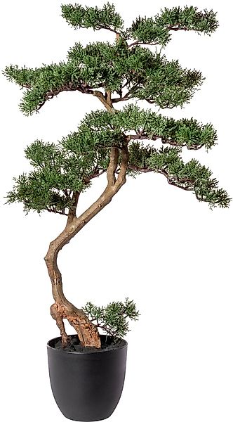 Kunstbonsai Bonsai Zeder Bonsai, Creativ green, günstig online kaufen