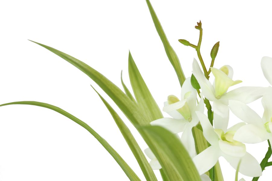 I.GE.A. Kunstblume "Kunstblume Schmetterling Orchidee mit Keramiktopf" Mit günstig online kaufen