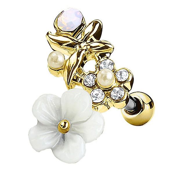 Taffstyle Piercing-Set Tragus Helix Stecker mit günstig online kaufen