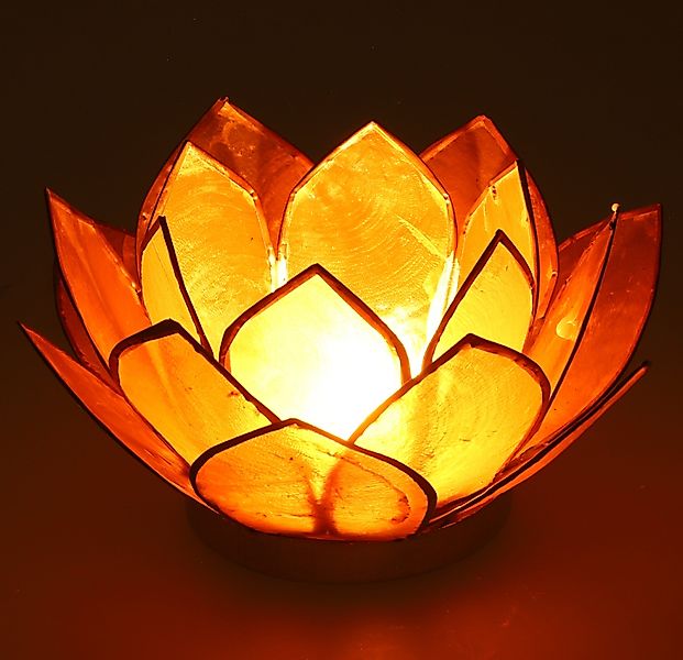 Guru-Shop Windlicht Lotus Teelicht Muschel 14*6 günstig online kaufen