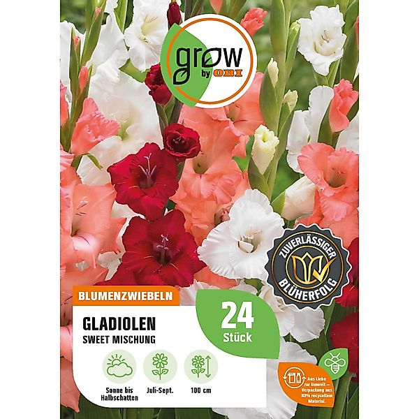 GROW by OBI Gladiolen Sweet Mischung Höhe ca. 100 cm Gladiolus grandiflorus günstig online kaufen