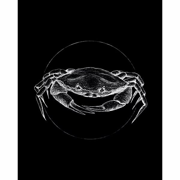 Komar Poster Crab Black Tiere B/L: ca. 40x50 cm günstig online kaufen