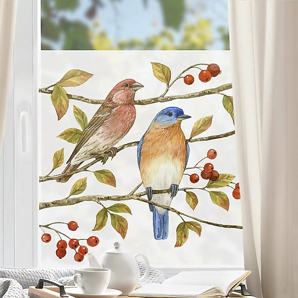 Fensterfolie Vögel und Beeren - Hüttensänger günstig online kaufen