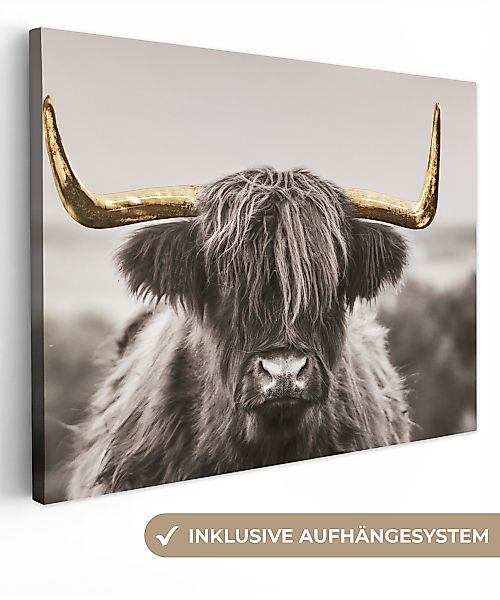 OneMillionCanvasses® Leinwandbild Scottish Highlander - Schwarz günstig online kaufen