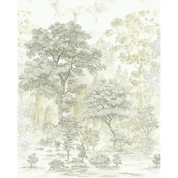 Komar Fototapete Bäume Beige 200 x 250 cm 611188 günstig online kaufen