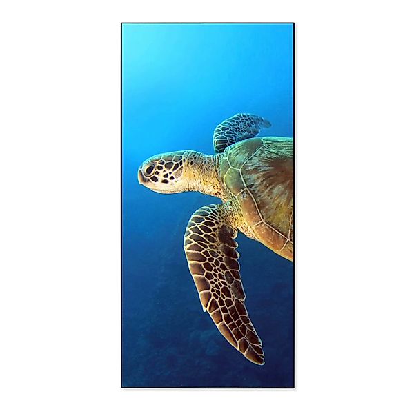 Banjado Magnettafel 37x78cm Magnetwand  Schwarz Aus Metall Magnetpinnwand P günstig online kaufen