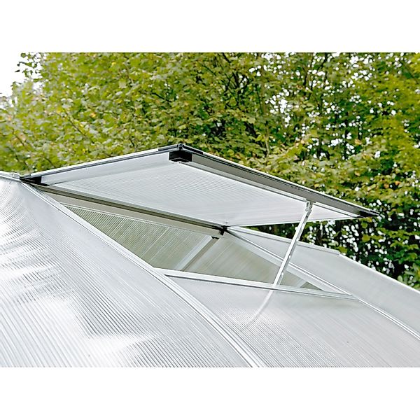 Dachfenster für KGT-Gewächshäuser mit 10 mm Verglasungsstärke Moosgrün günstig online kaufen