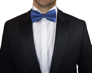 Paul Malone Fliege Herren Schleife modern günstig online kaufen