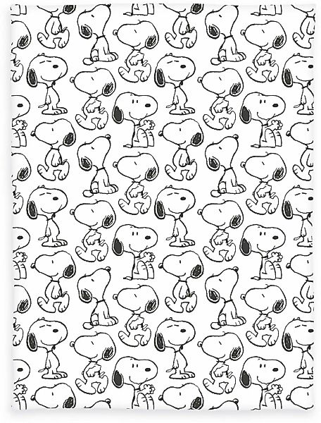 Peanuts Wohndecke "Peanuts" cooles Motiv günstig online kaufen