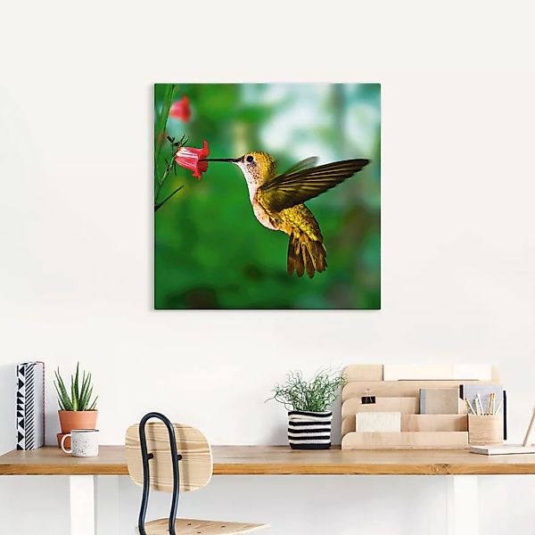 Artland Wandbild "Kolibri", Vögel, (1 St.), als Alubild, Outdoorbild, Leinw günstig online kaufen