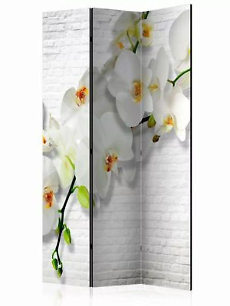 artgeist Paravent The Urban Orchid [Room Dividers] grün-kombi Gr. 135 x 172 günstig online kaufen