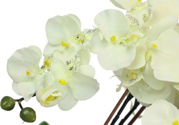 Kunstblume Künstliche Orchidee in Schale Phalaenopsis günstig online kaufen