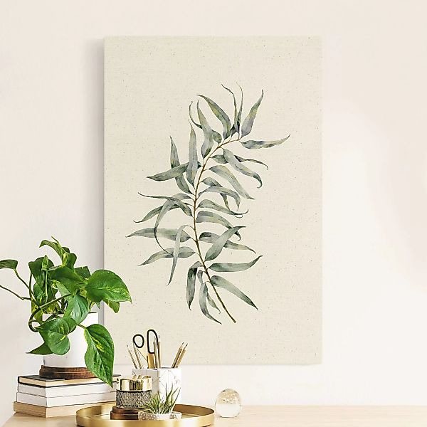 Leinwandbild auf Canvas Natural Aquarell Eucalyptus IV günstig online kaufen