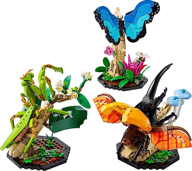 LEGO® LEGO® Ideas 21342 Die Insektensammlung günstig online kaufen
