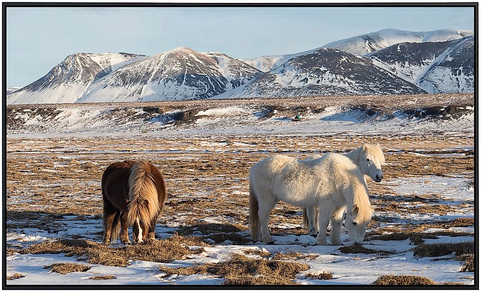 Papermoon Infrarotheizung »Pferde in Landschaft« günstig online kaufen