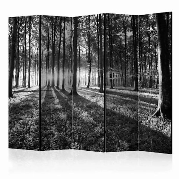 artgeist Paravent Grey Wilderness II [Room Dividers] schwarz/weiß Gr. 225 x günstig online kaufen