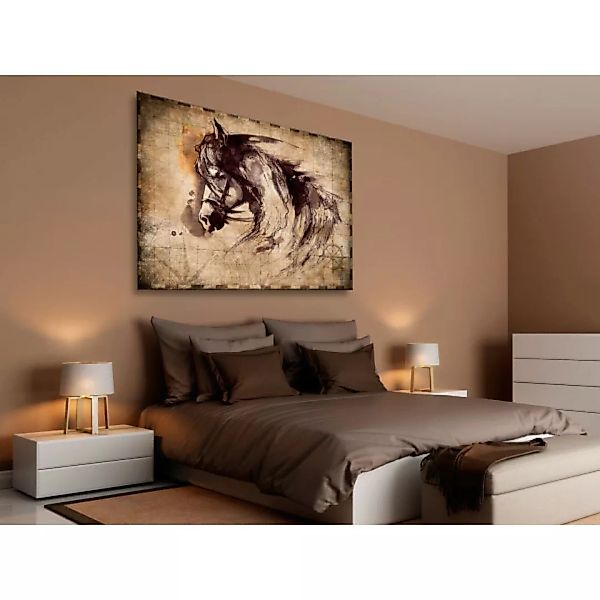 Wandbild Horse Journeys XXL günstig online kaufen