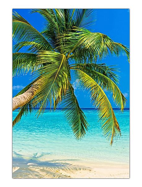 LYSCO Poster XXL Plakat Strand, Palmen, günstig online kaufen