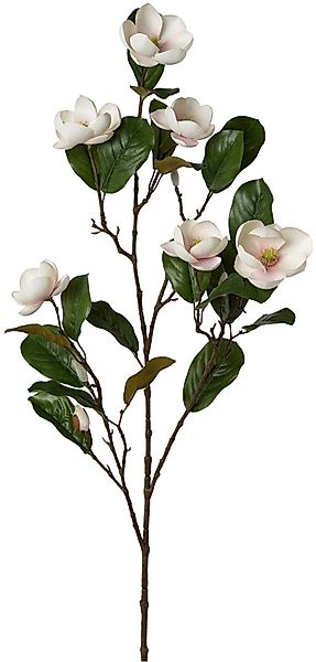 Kunstblume Magnolienzweig, Creativ green, Höhe 120 günstig online kaufen