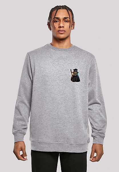 F4NT4STIC Kapuzenpullover "Wizard Cat CREW" Print günstig online kaufen