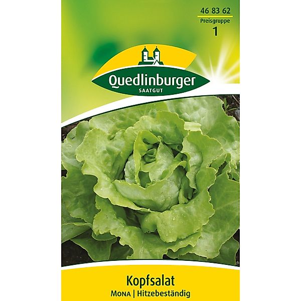 Quedlinburger Kopf Salat ''Mona'' günstig online kaufen