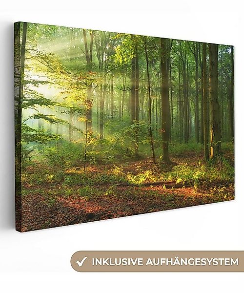 OneMillionCanvasses® Leinwandbild Sonne - Wald - Bäume - Natur - Herbst, Fo günstig online kaufen