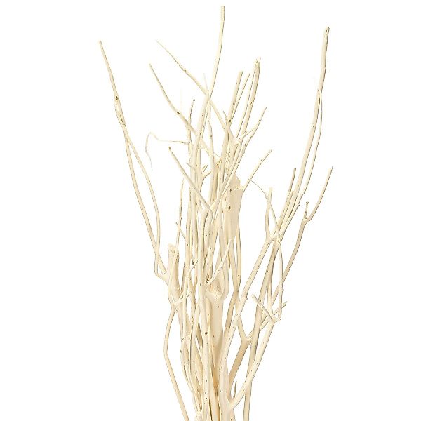 Trockenblume Mitsumata Zweige Weiß Deko 34-60cm günstig online kaufen