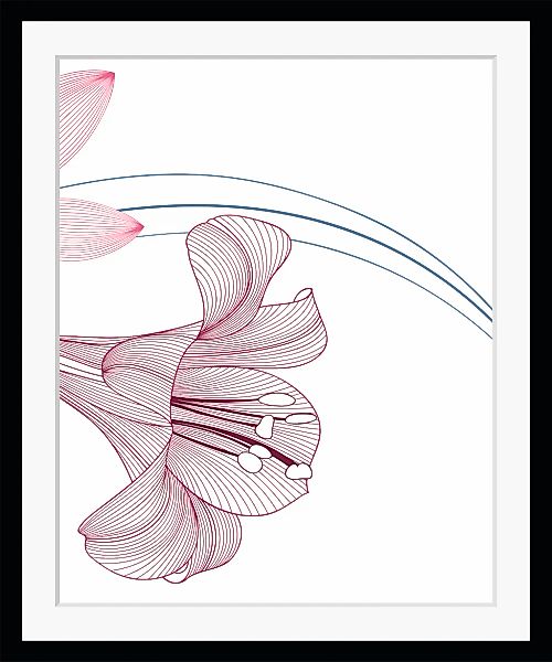 queence Bild »Alma«, Blumen, (Set), Blumen, gerahmt günstig online kaufen