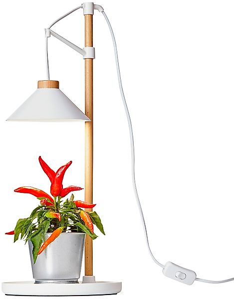 Northpoint Pflanzenlampe LED Pflanzenleuchte Kräutergarten aus günstig online kaufen