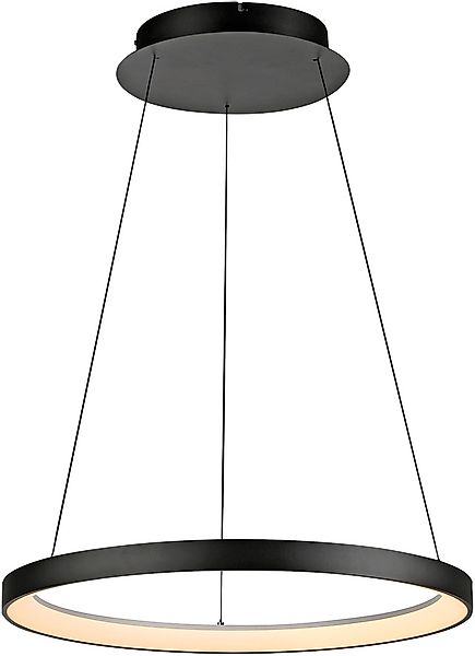 Paul Neuhaus Pendelleuchte »HOOP« LED-Board 1 Stk. Warmweiß LED, dimmbar, S günstig online kaufen