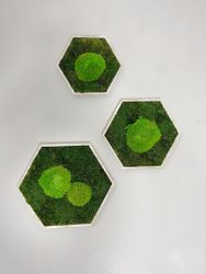 Gedankenwunder Manufaktur Bild Moosbild Hexagon Rahmen günstig online kaufen