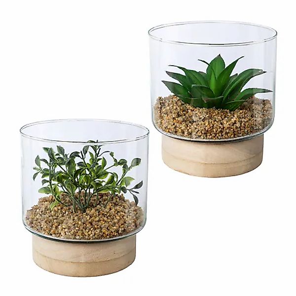 Creativ green Kunstpflanze »Sukkulenten im Glasgefäß« günstig online kaufen