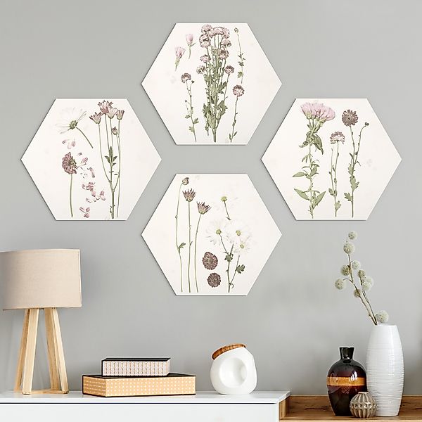 4-teiliges Hexagon-Alu-Dibond Bild Herbarium in rosa Set I günstig online kaufen