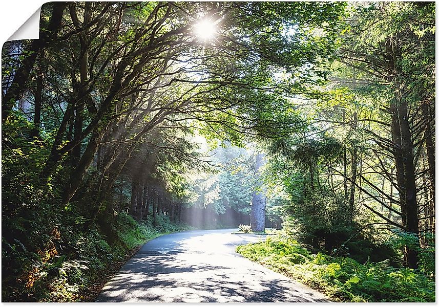 Artland Poster "Sonniger Wald" Baumbilder 1 Stk. tlg. ohne Rahmen günstig online kaufen
