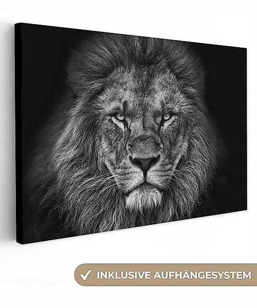 OneMillionCanvasses® Leinwandbild Löwe - Tiere - Schwarz - Weiß, Fotodruck günstig online kaufen