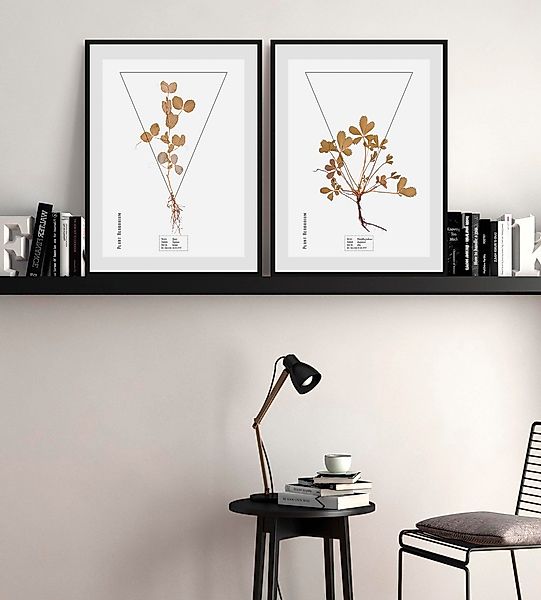 queence Bild "Potentilla fruticosa", Pflanzen-Pflanzenbilder-Schriftzug, (1 günstig online kaufen