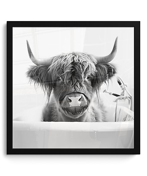 MuchoWow Poster Schottischer Highlander - Kuh günstig online kaufen